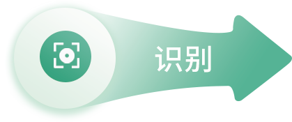 识别